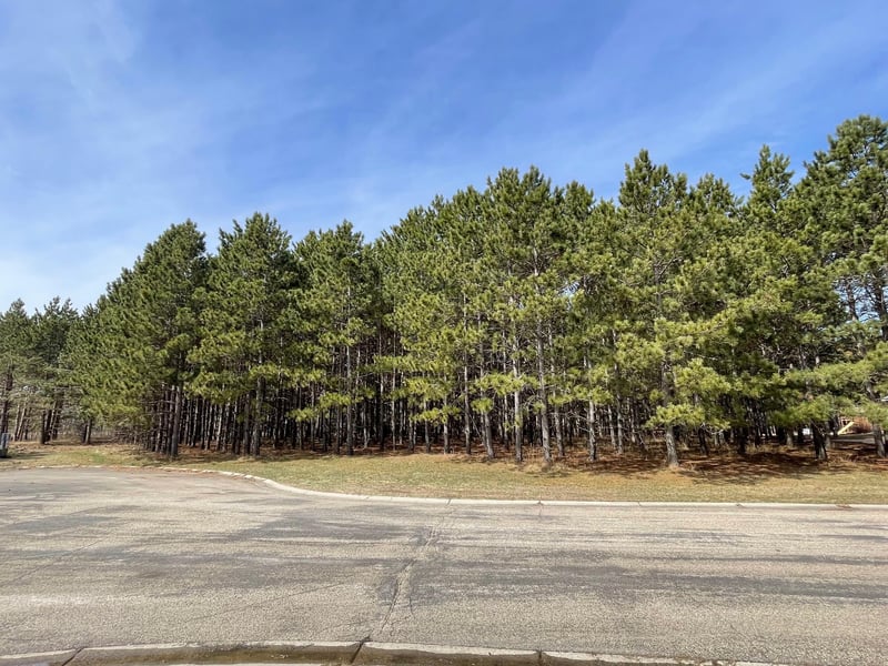 XXXX Emerald Ct NE, Carlos, MN 56319