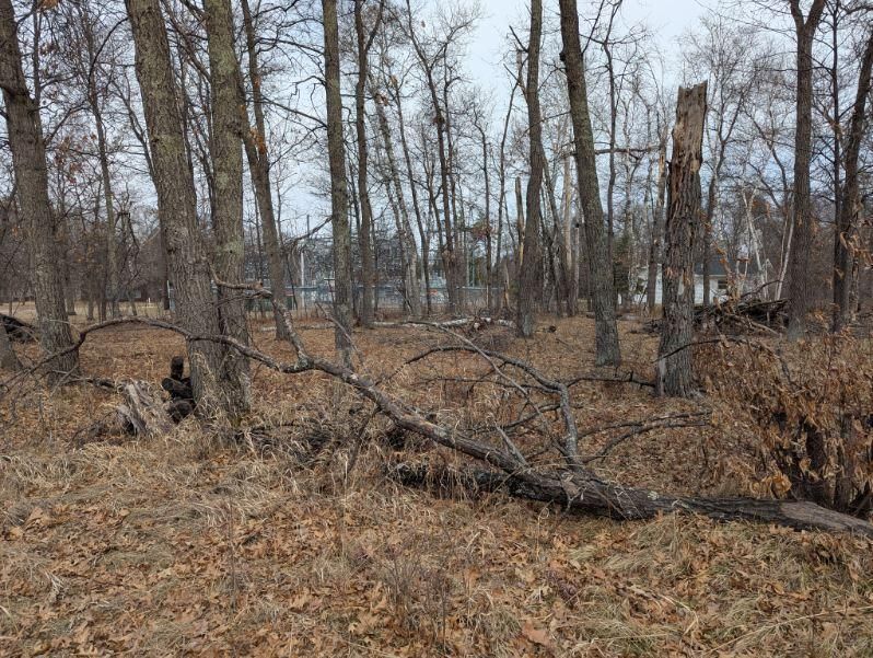 Lot 21 B0 Birch Ln, Breezy Point, MN 56472