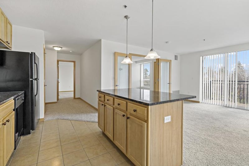 1502 5th St N #401, Hopkins, MN 55305