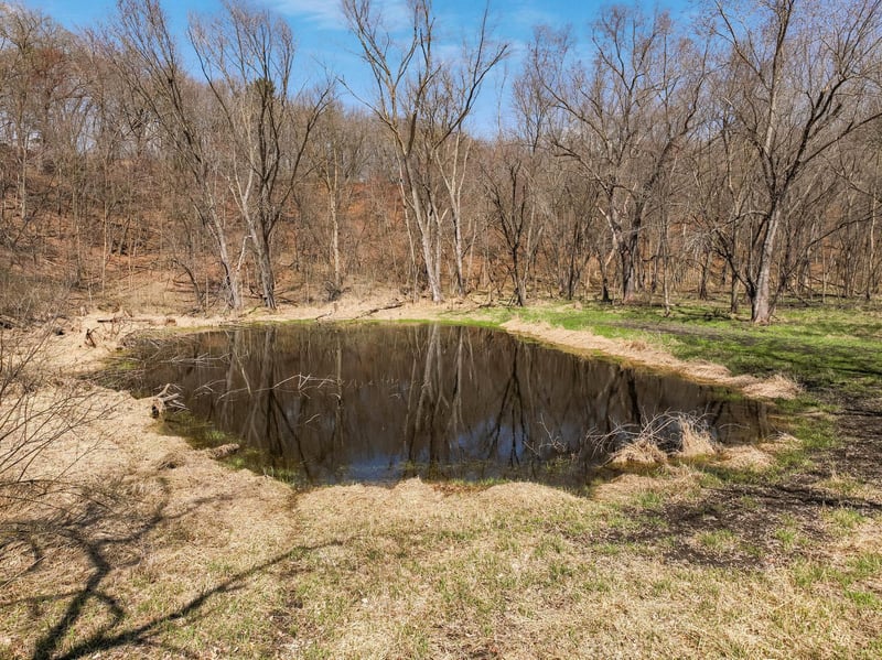 W7297 County Road D, Arkansaw, WI 54721