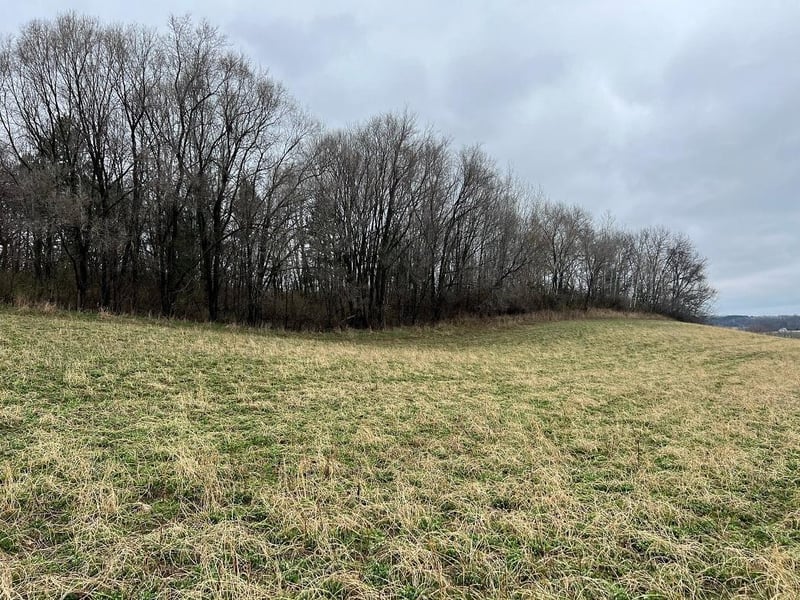 TBD Nicholes Rd, Mondovi, WI 54755