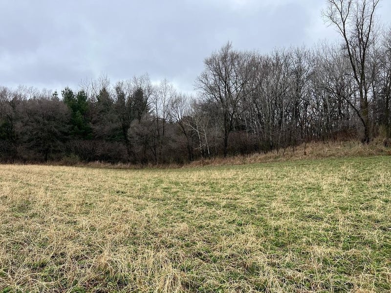 TBD Nicholes Rd, Mondovi, WI 54755