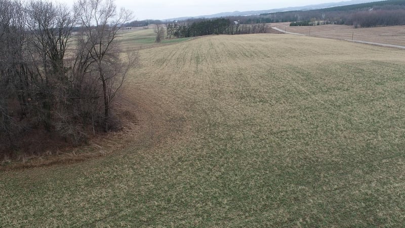 TBD Nicholes Rd, Mondovi, WI 54755