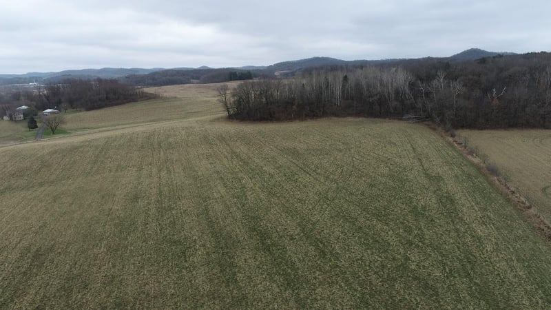 TBD Nicholes Rd, Mondovi, WI 54755