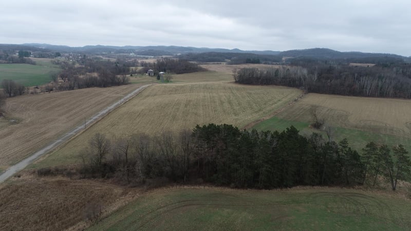 TBD Nicholes Rd, Mondovi, WI 54755
