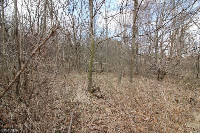 XXX 690th St, River Falls, WI 54022