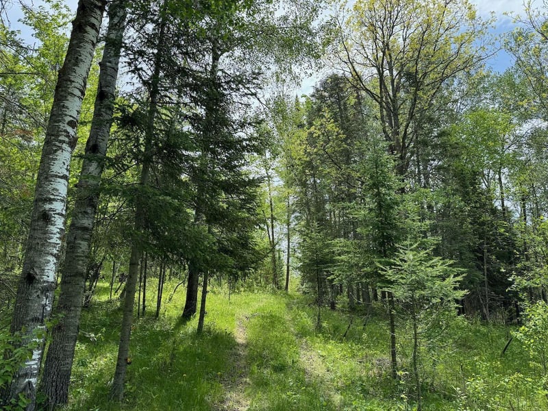 26141 Obrien Creek Rd NE, Hines, MN 56647