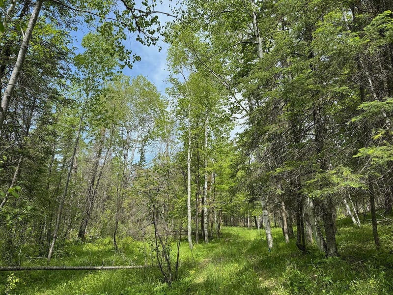 26141 Obrien Creek Rd NE, Hines, MN 56647