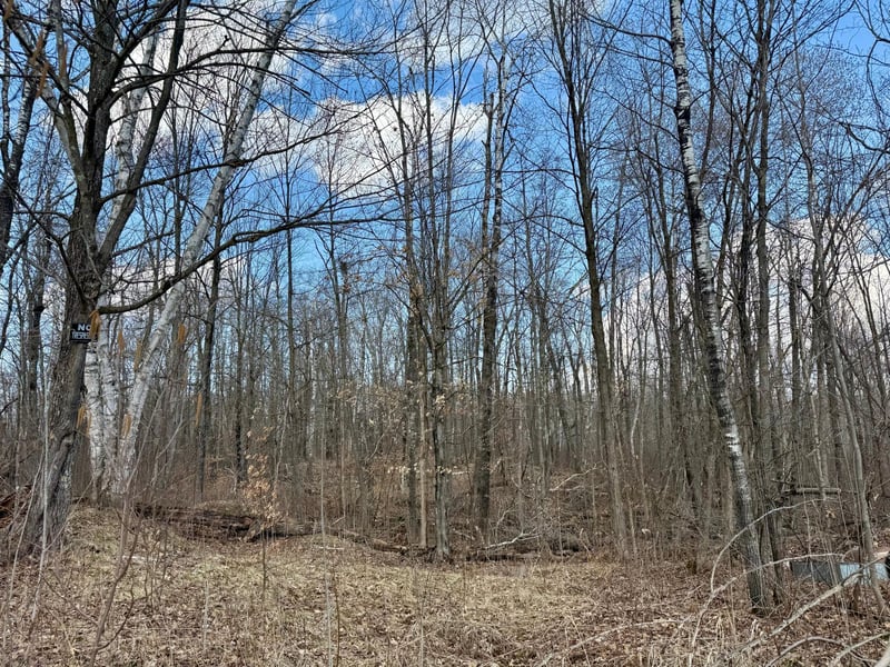 1XX Estates Rd, Kerrick, MN 55756