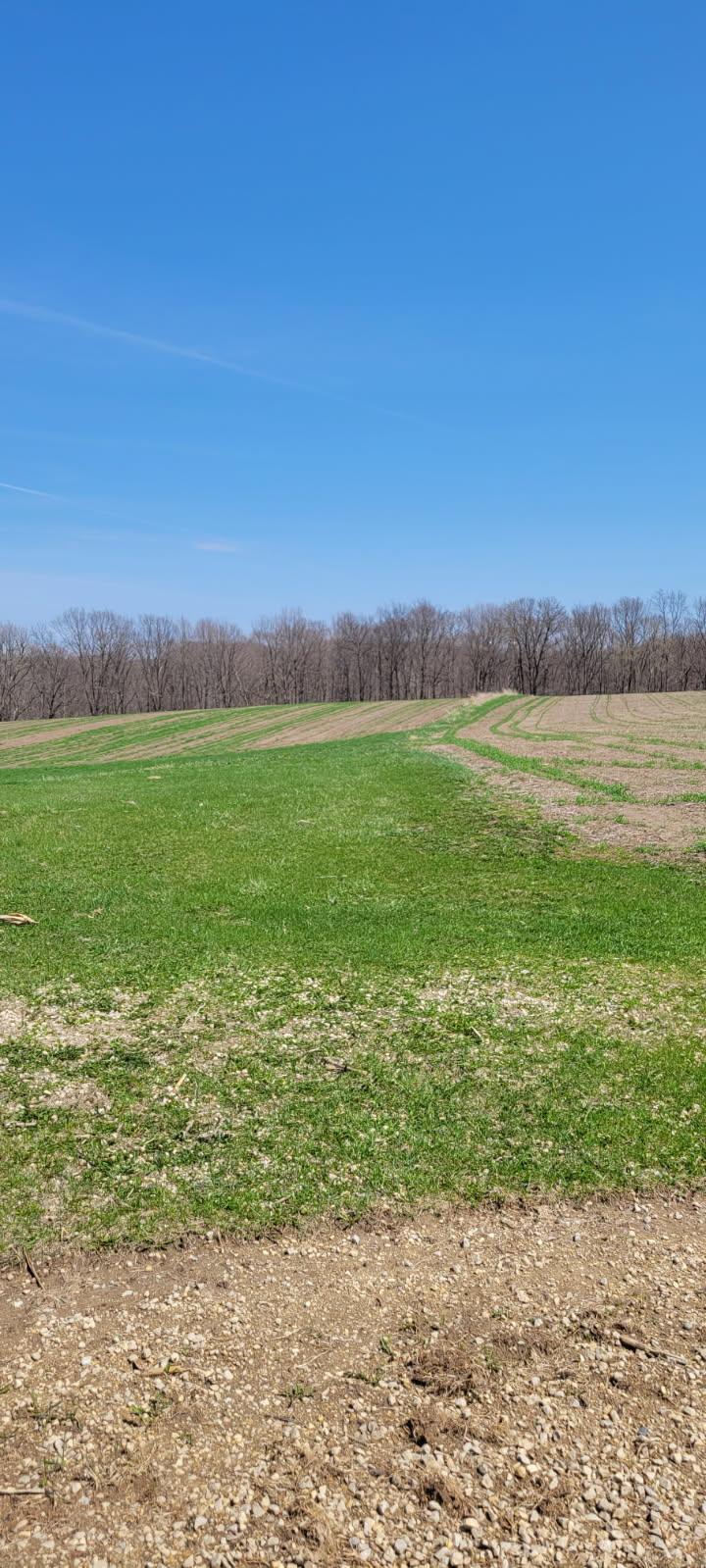 XXX 270th Ave, Maiden Rock, WI 54750