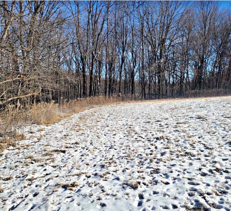 XXX 270th Ave, Maiden Rock, WI 54750