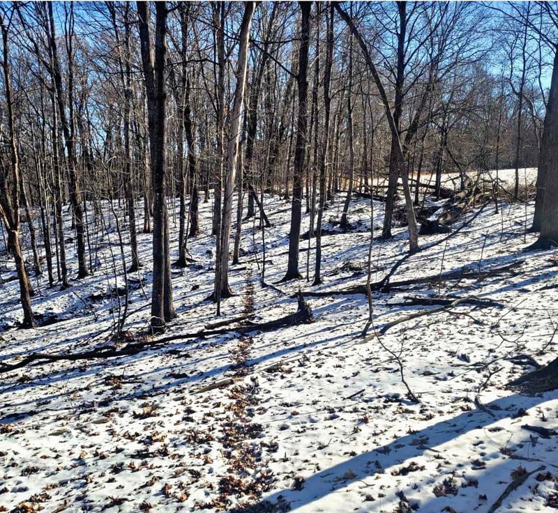 XXX 270th Ave, Maiden Rock, WI 54750