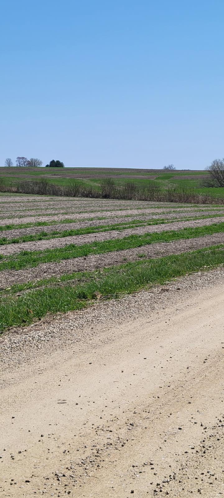 XXX 270th Ave, Maiden Rock, WI 54750