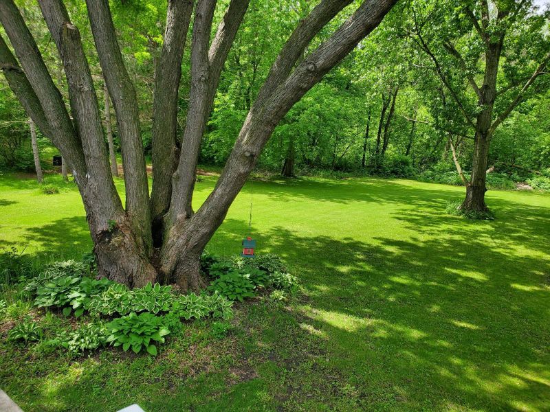 9433 Fox Valley Dr, Hamel, MN 55340