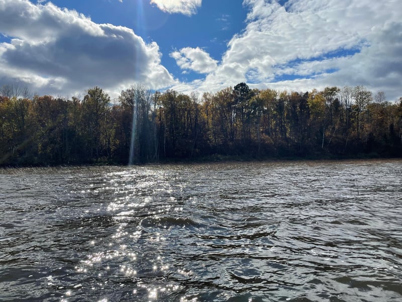 TBD Forest Road 2196e, Squaw Lake, MN 56681