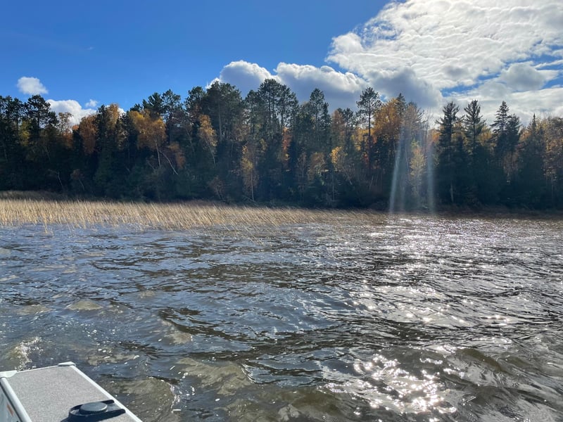 TBD Forest Road 2196e, Squaw Lake, MN 56681