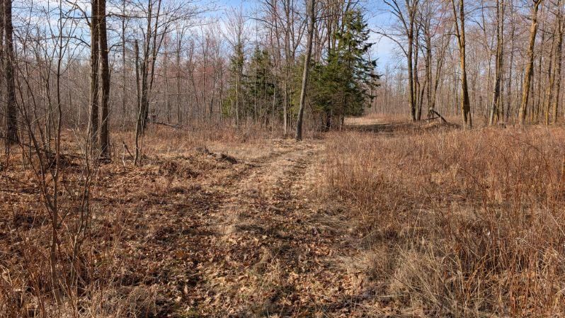 TBD Lacy Ln, Pequot Lakes, MN 56472