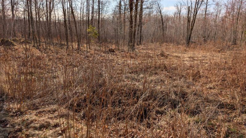 TBD Lacy Ln, Pequot Lakes, MN 56472