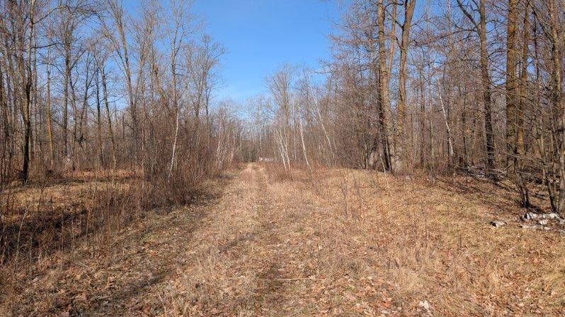 TBD Lacy Ln, Pequot Lakes, MN 56472