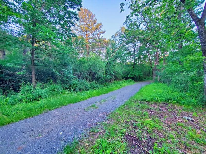 XXX Lot 3 Chestnut St, Marine On Saint Croix, MN 55047