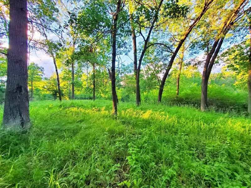 XXX Lot 3 Chestnut St, Marine On Saint Croix, MN 55047
