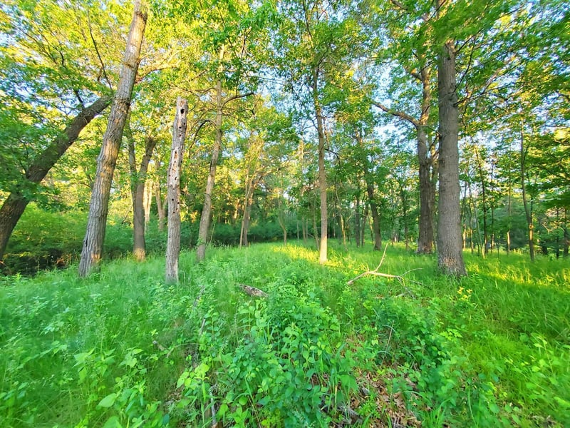 XXX Lot 3 Chestnut St, Marine On Saint Croix, MN 55047