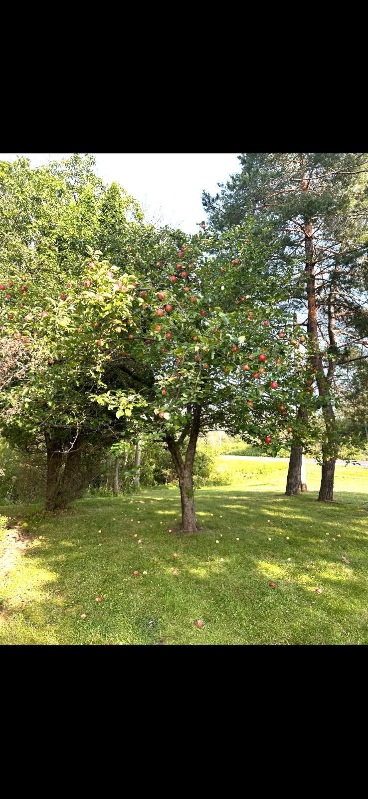 7113 E County Rd E, South Range, WI 54874