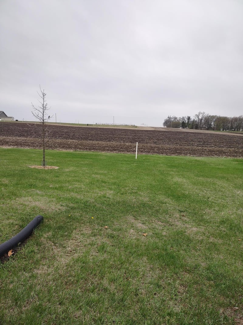 737 Hackberry St, Dawson, MN 56232