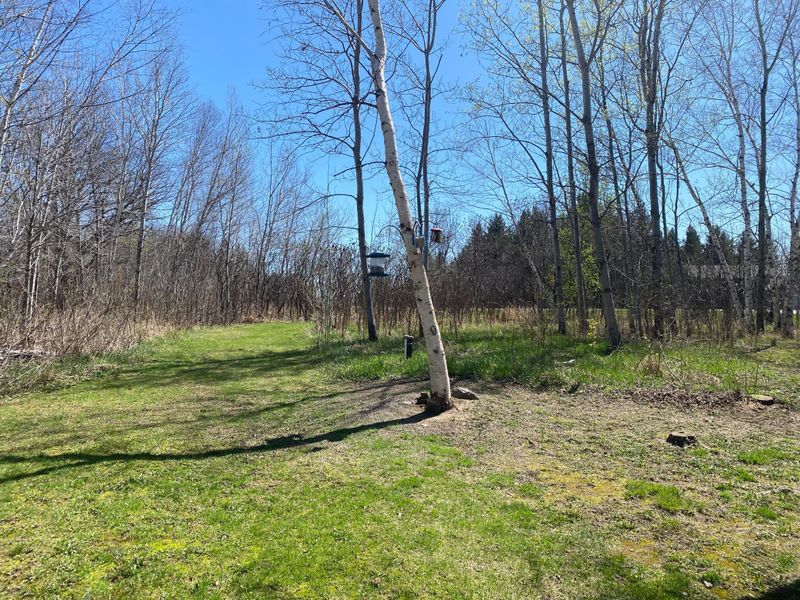 10992 97th St, Milaca, MN 56353