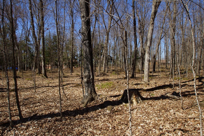 Lot 4 Crane Ln, Hayward, WI 54843