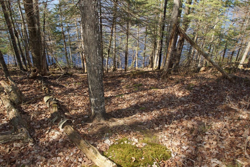 Lot 4 Crane Ln, Hayward, WI 54843