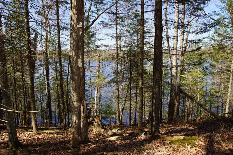 Lot 4 Crane Ln, Hayward, WI 54843