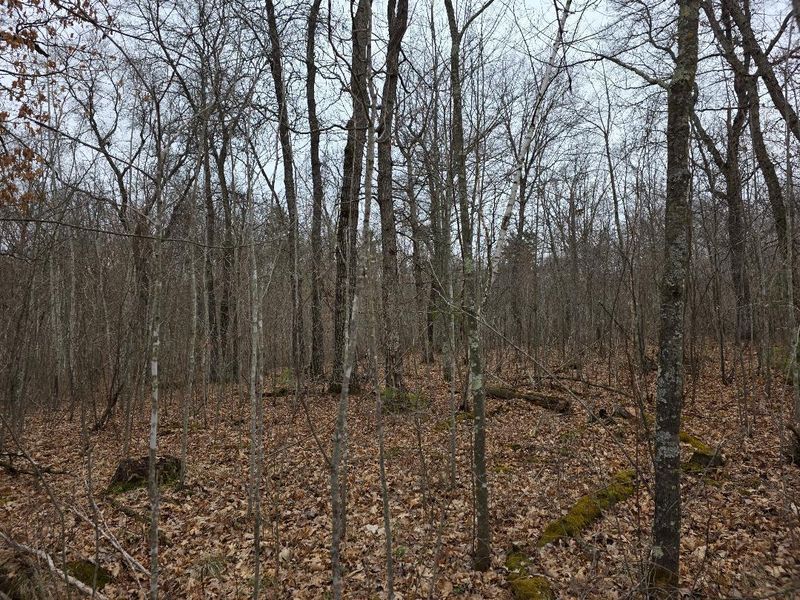 Lot 8 Lukes Ln, Danbury, WI 54830