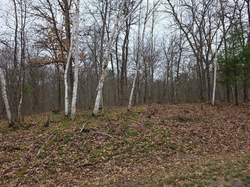 Lot 8 Lukes Ln, Danbury, WI 54830