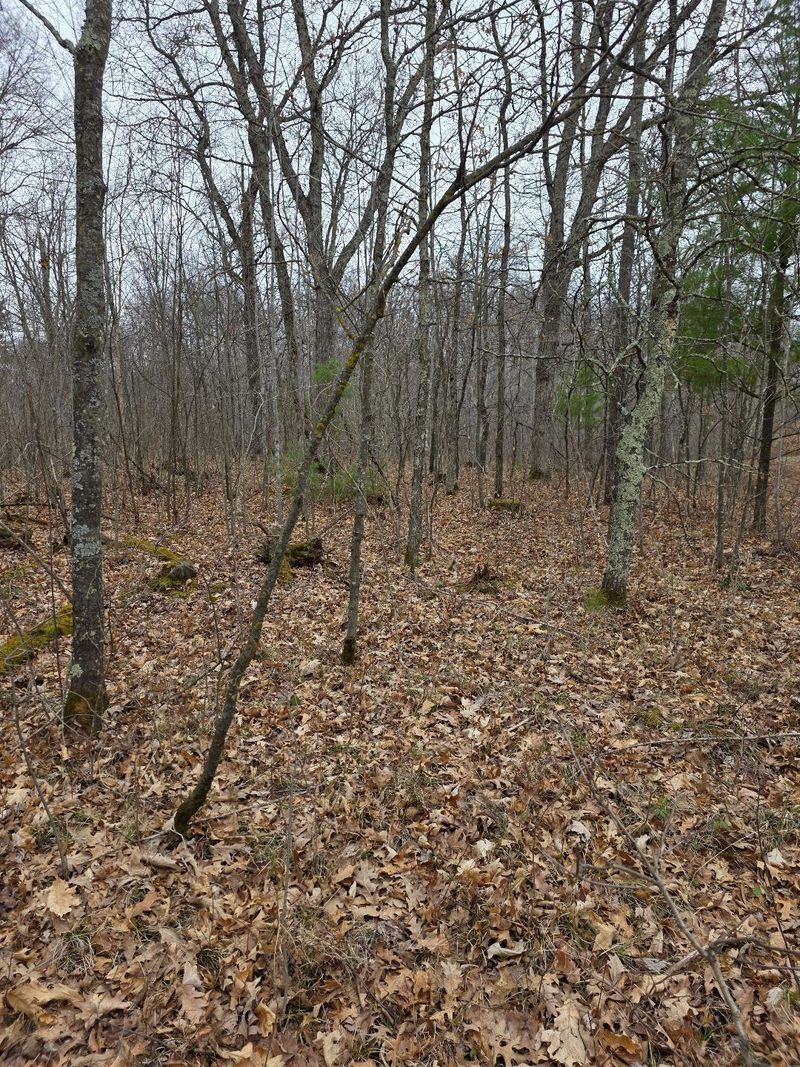 Lot 8 Lukes Ln, Danbury, WI 54830