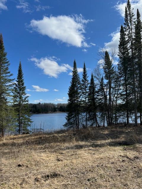 7285 W Leavitt Rd NE, Outing, MN 56662