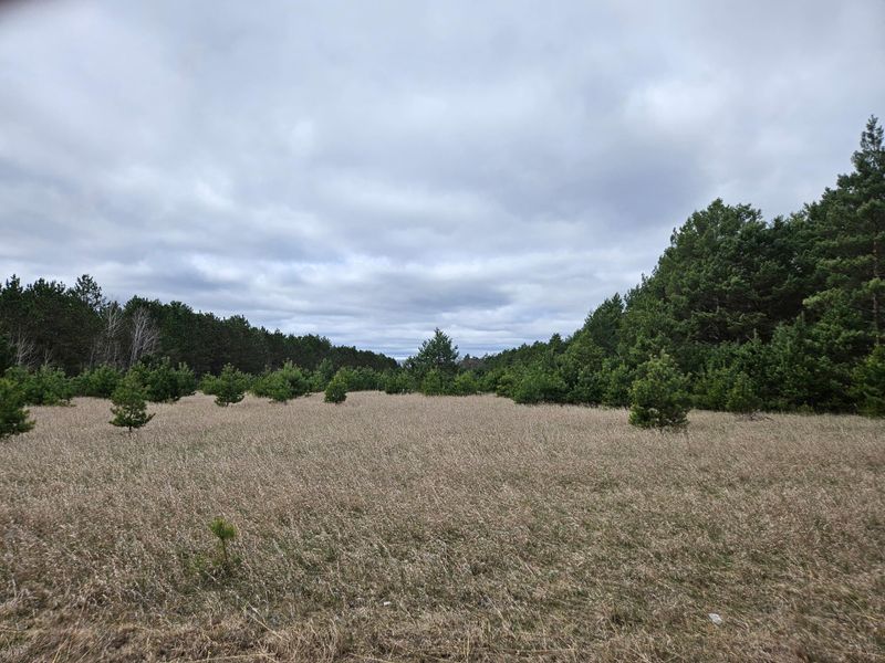 TBD 50th Ave, Brainerd, MN 56401