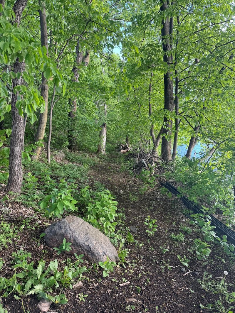 Lot 2 Block 1 746th Ave SW, Dassel, MN 55325