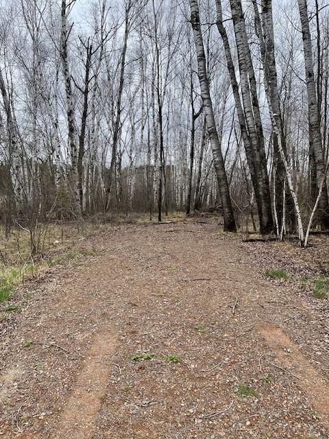 Parcel J Fox Rd, Hinckley, MN 55037