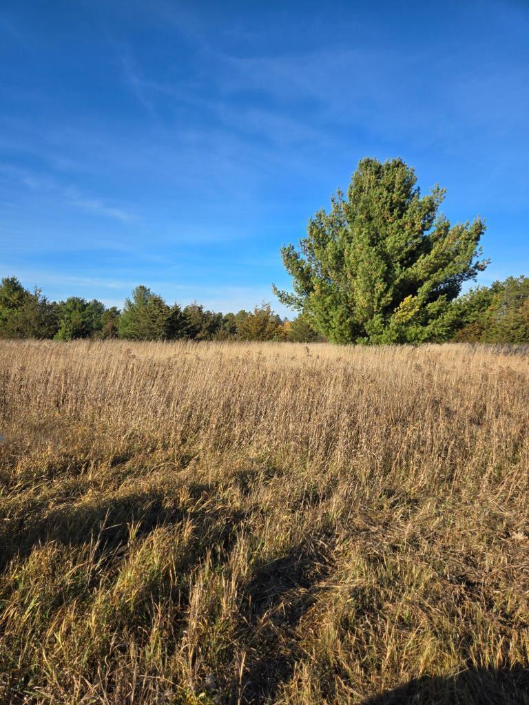 XXX 7 Gregory Loop, Hillman, MN 56338