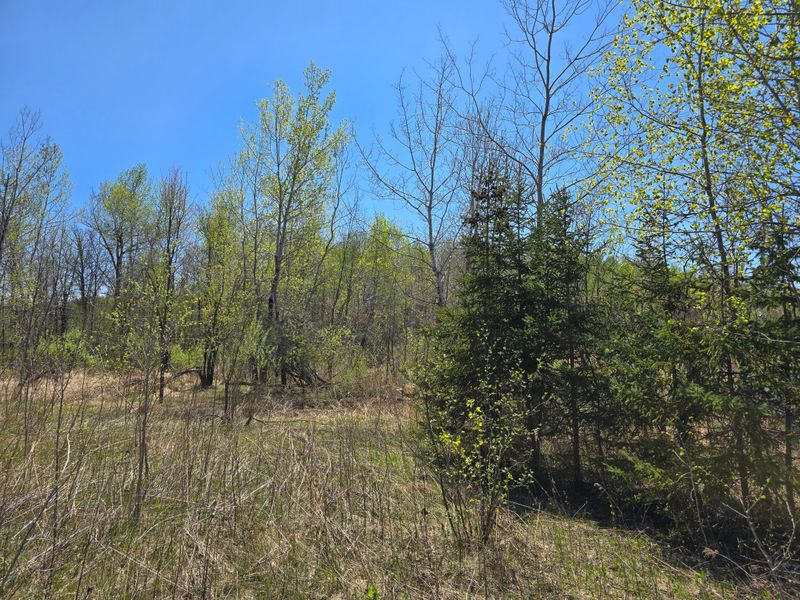 000 Highway 23, Brook Park, MN 55007