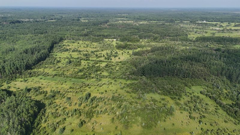 TBD County Road 14, Littlefork, MN 56653