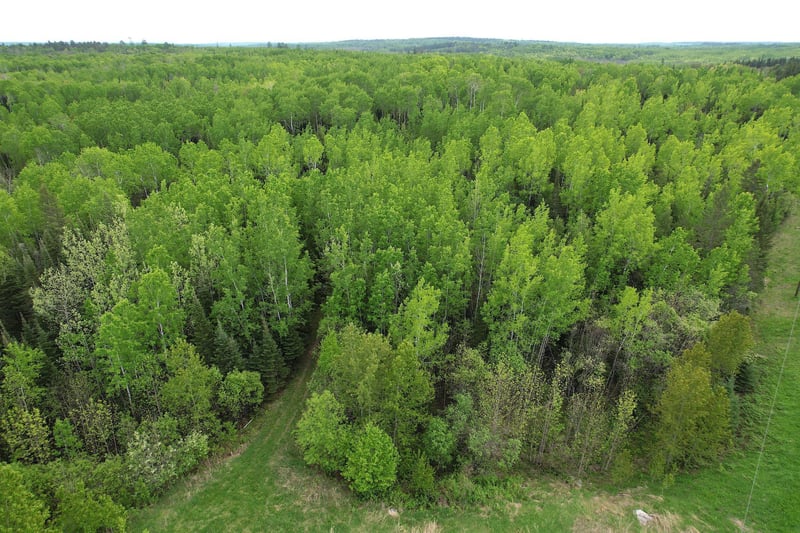 TBD Gappa Rd, Kabetogama, MN 56669