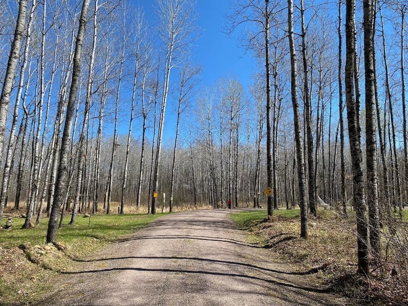 13418 S St Croix Rd, Gordon, WI 54838