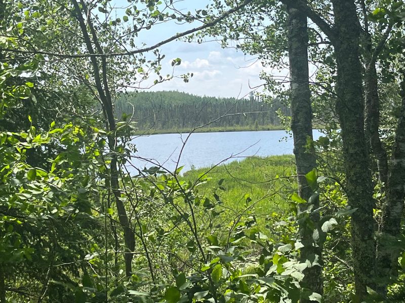 TBD Little Whitefish Trl, Nashwauk, MN 55769