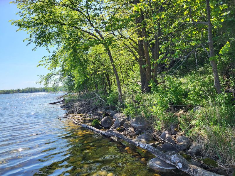 34989 Dead Isle, Richville, MN 56576