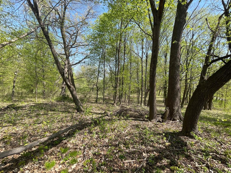 1xx Stark Rd, Harris, MN 55032