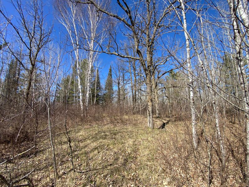 TBD County Road 89, Park Rapids, MN 56470