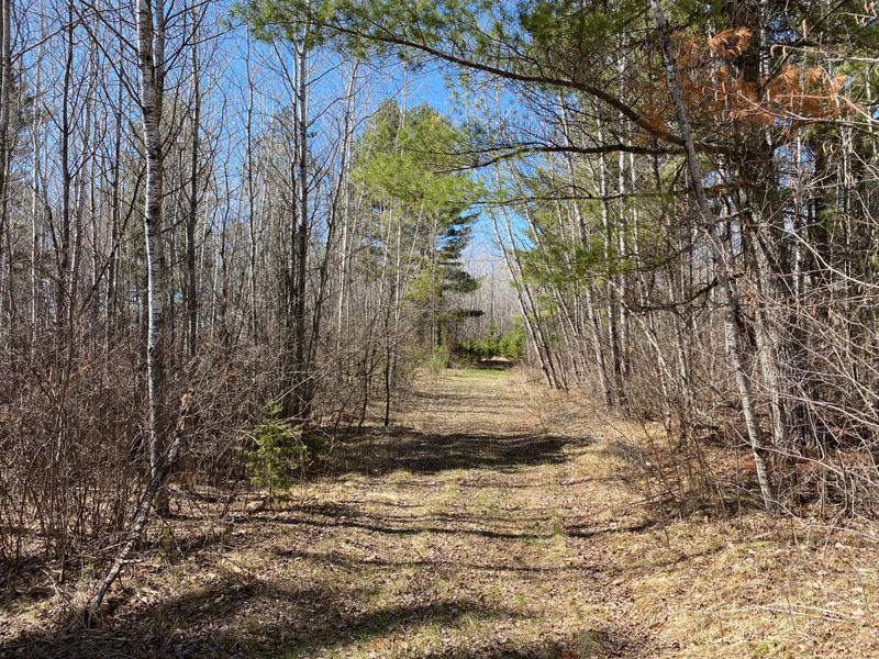 TBD County Road 89, Park Rapids, MN 56470