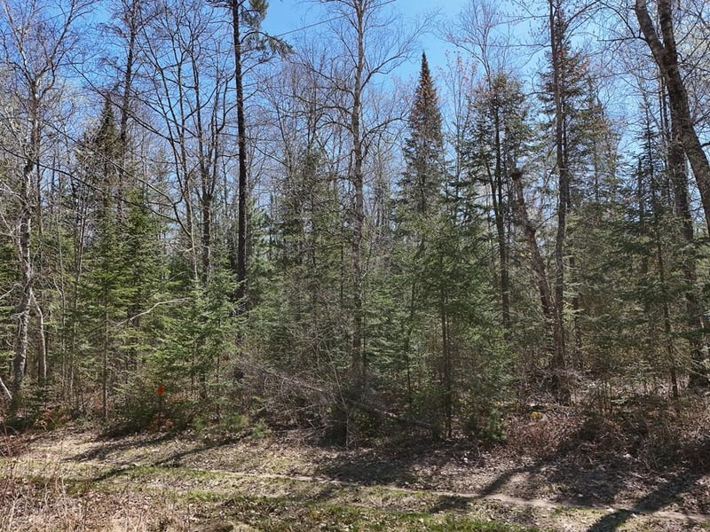 2xx S Lake Lawrence Rd NE, Outing, MN 56662